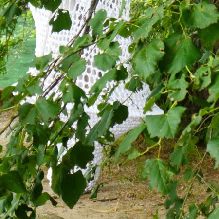 Main_thumbnailFeb2020