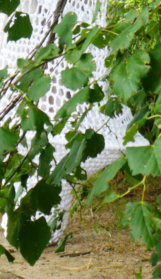 Main_thumbnailFeb2020 Main_thumbnailFeb2020