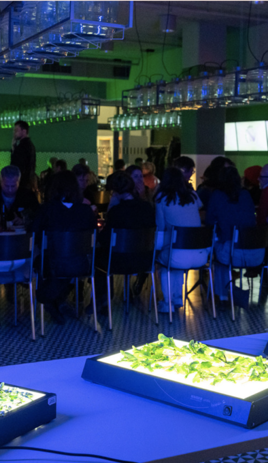 Screenshot 2024-10-09 at 20.32.28 Screenshot 2024-10-09 at 20.32.28