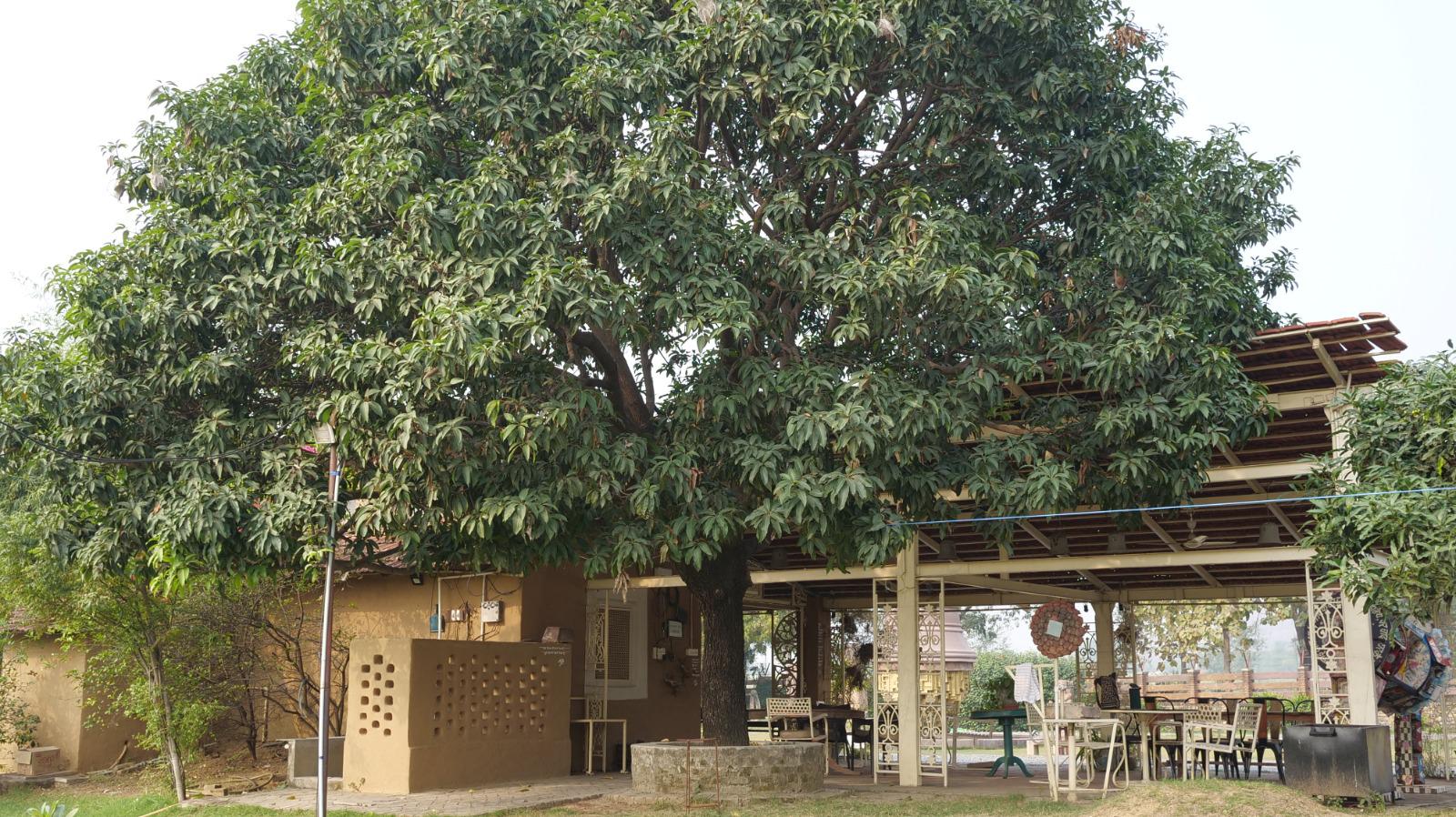 WhatsApp Image 2024-02-13 at 08.32.38 (1)